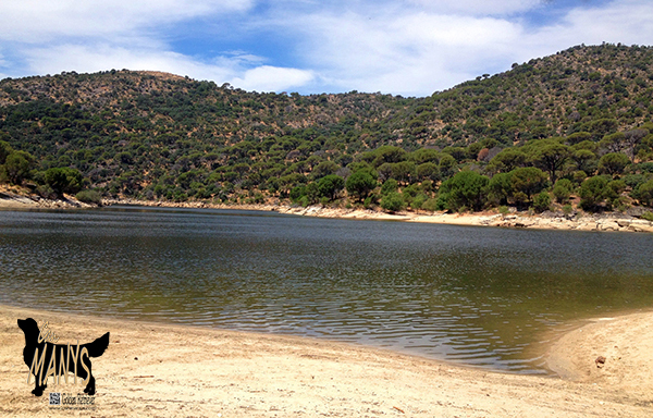 AL AGUA PATOS 2013