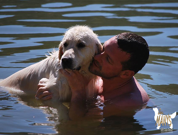 AL AGUA PATOS 2013