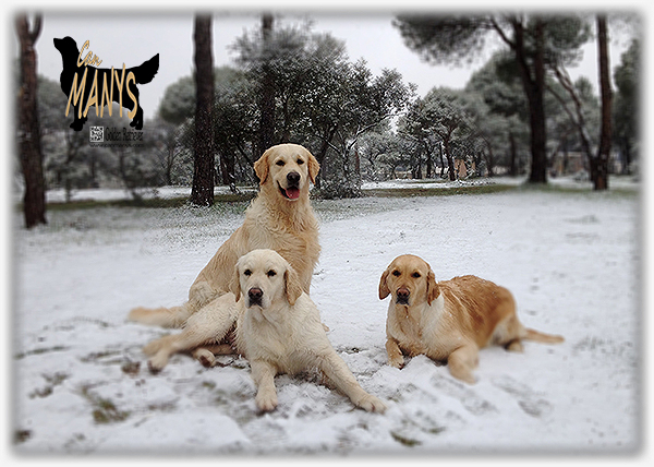 SORPRESA NIEVE 2013