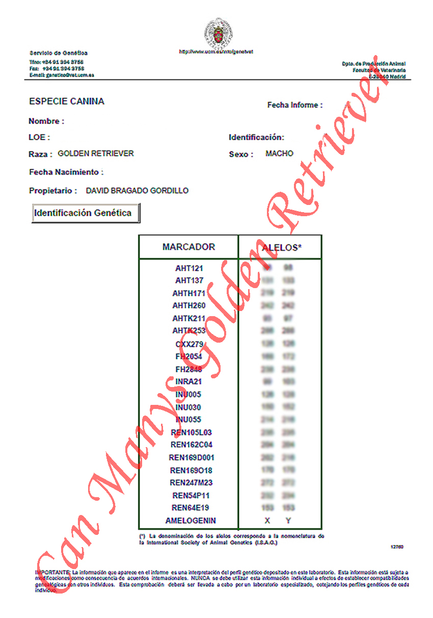 IDENTIFICACION GENETICA ADN