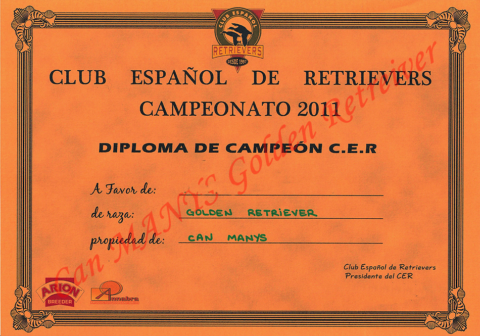 ANDY TITULO CER