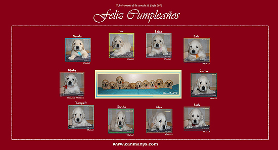 ANIVERSARIO