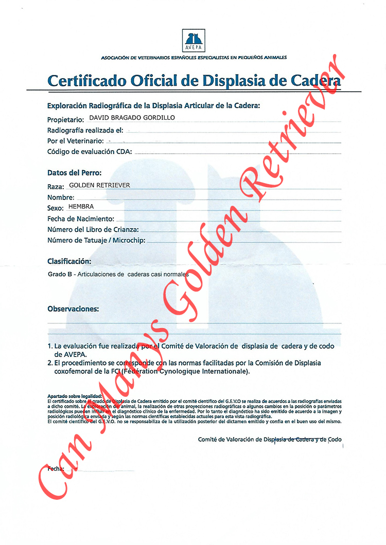 CADERAS KETE WEB